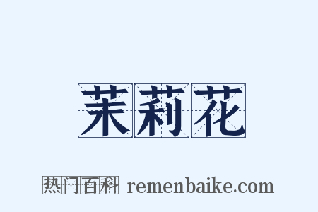 茉莉花是什么意思的图片